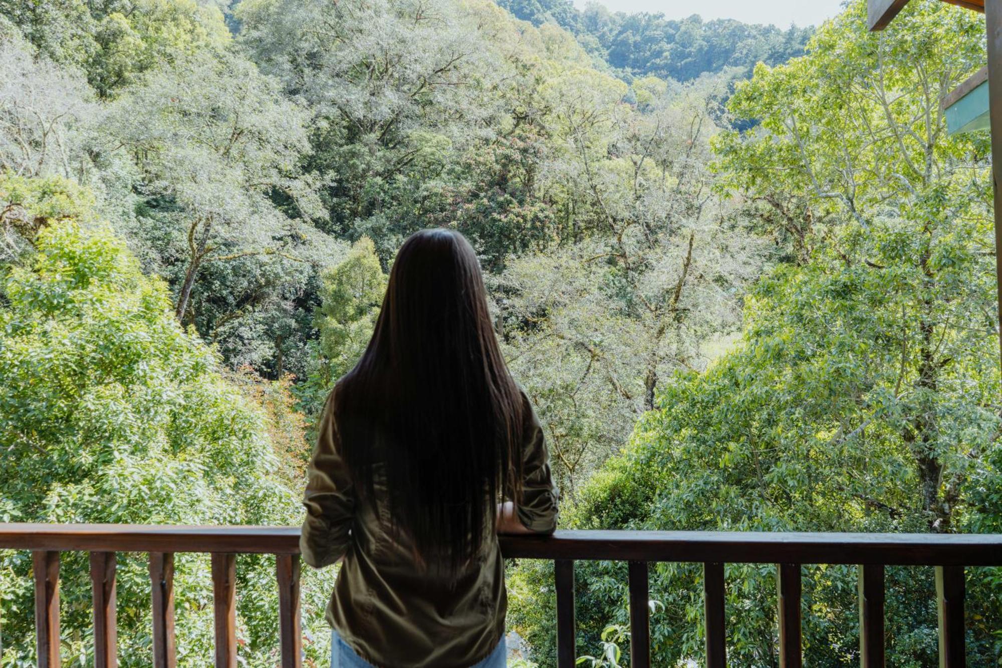 Cabinas El Quetzal San Gerardo de Dota Eksteriør bilde